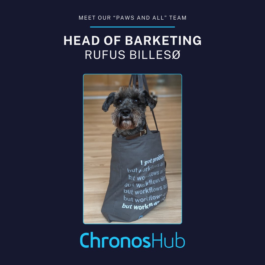 Meet Rufus, our Head of Barketing at ChronosHub! This dashing Schnauzer ensures our marketing team is on point. Rumor has it our latest tote design was inspired by his exquisite coat of grays. Whether it's a coincidence or not, one thing is certain –Rufus approves! 🐾