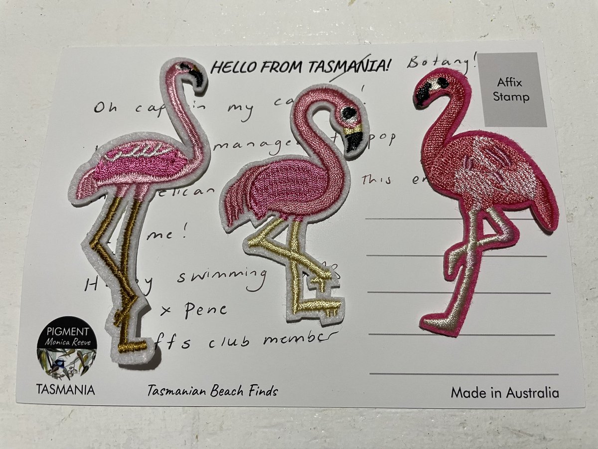 Thanks to @PenelopeIngle who timed perfectly this surprise gift on 🦩 Friday 👏👏👏👏👏 #flamingofriday #flamingoswimclub #snailmail