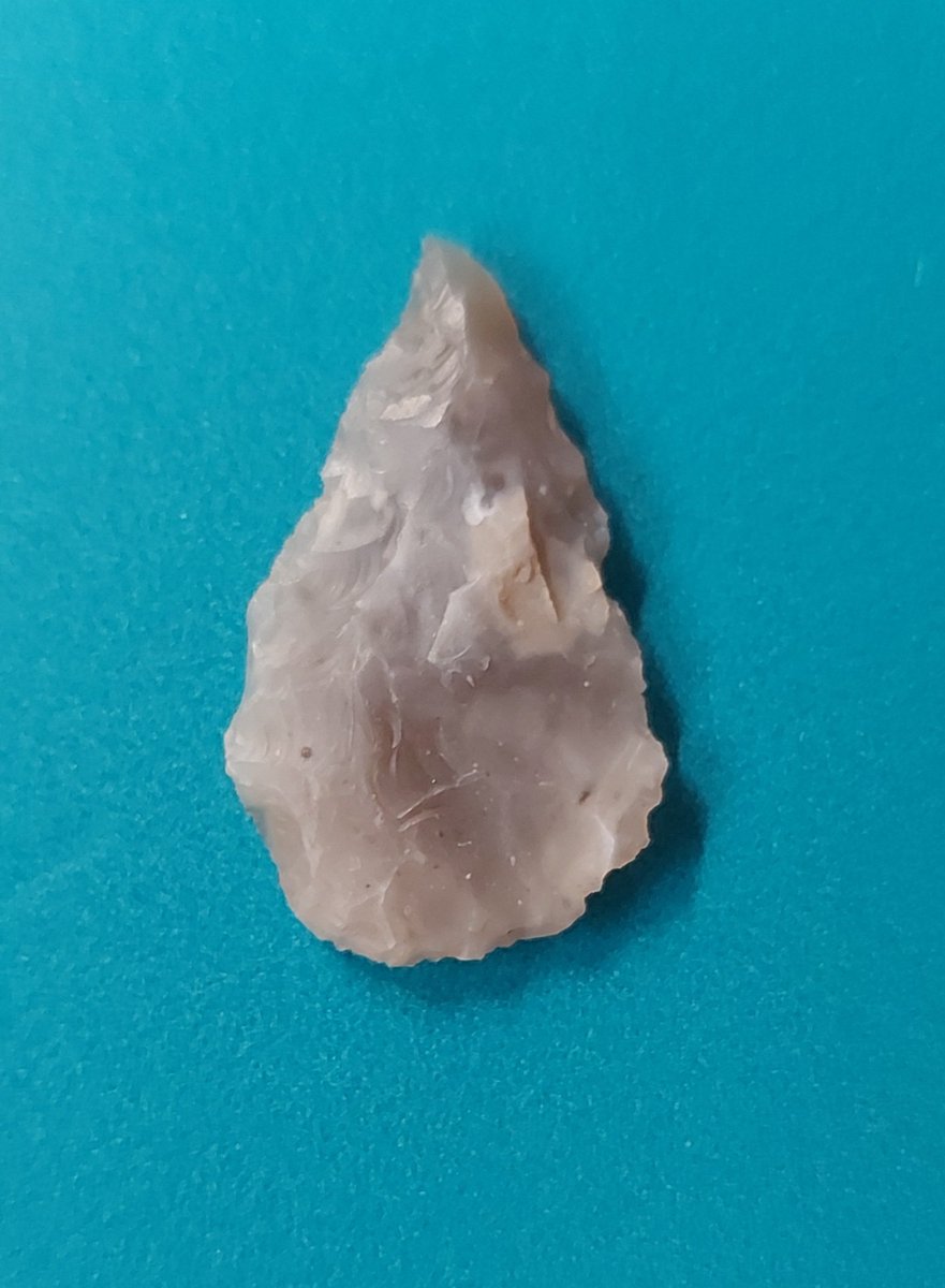 #FindsFriday This gorgeous Neolithic arrowhead was found near Stratford-upon-Avon and just been officially donated to Warwickshire Museum Service @OisinTheDeer