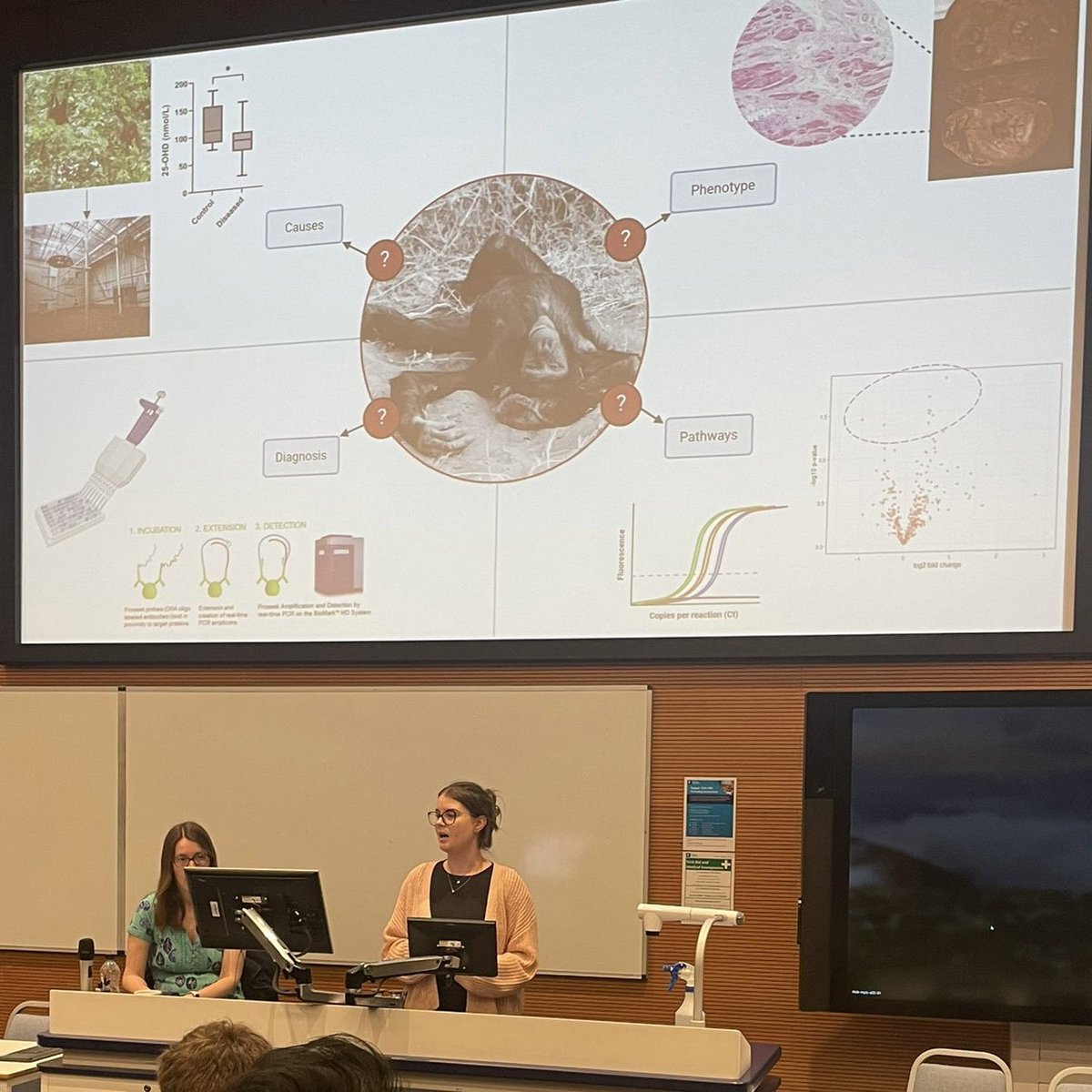 This week I attended the #DTPSpringConference2024, where I presented my ‘three minute thesis’ and enjoyed catching up with fellow fourth years as we reflect on an amazing #PhD journey together 😌 I can almost see the finish line… 
#thesiswriting #nearlythere
