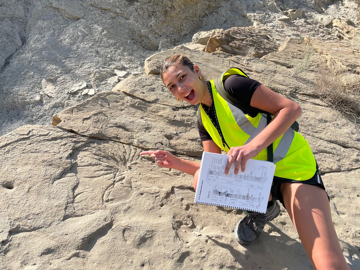 Betics Day 7: Lessons in how to make and fill a hole. Sketching huge slump folds in the Gordo Megabed which formed during an underwater landslide in the Tabernas Basin. Then on to some very unhappy rocks deformed along basin-bounding faults (including a rainbow-stripe gouge!)