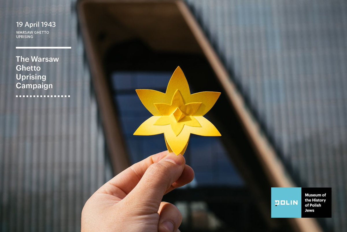 Today marks the 81st anniversary of the Warsaw Ghetto Uprising. By wearing a paper daffodil on that day, we show that we remember about those who fought in the Uprising, but also about ca 50,000 civilians who hid in the ghetto ruins in 1943. #WarsawGhettoUprising @polinmuseum