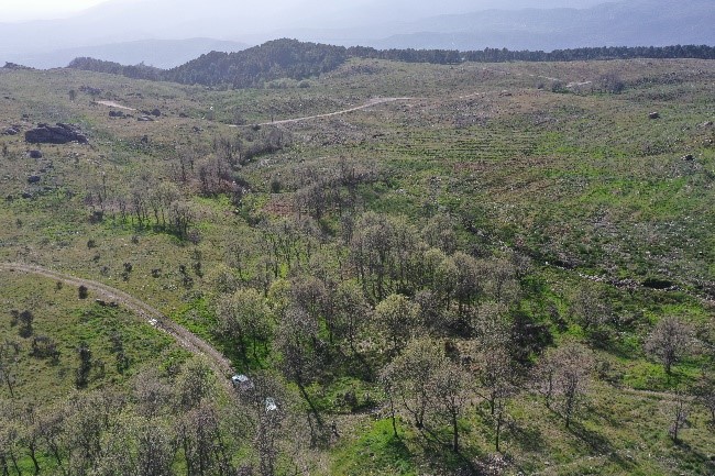 UdG team has spent 3 days testing outputs of the Postfire DSS, developed in @TREEADS2020, in recent burned areas. Field measurements, drone images and exchanges with managers and rangers from Junta CyL. Thanks to them and to @fafcyle and @dipuavila for support and organization.