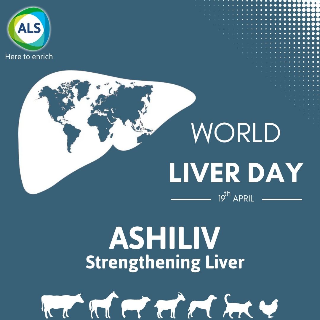 Keep your liver healthy and disease free - we are saying this to people but this creative is for animals liver, ASHILIV - strengthening liver the product is for animals. #worldliverday #ashiliv #strength #ALS #AnimalCare #ashishlifescience #Animalpharma #poultryfarming