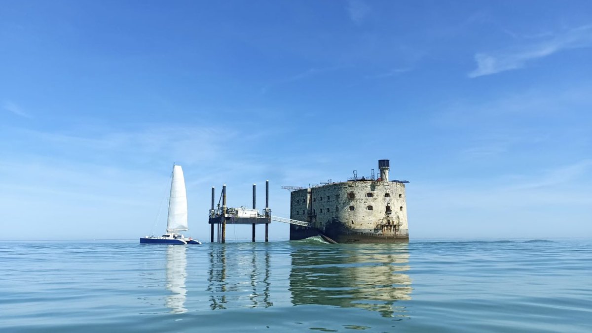 Sylvie Marcilly tweet media