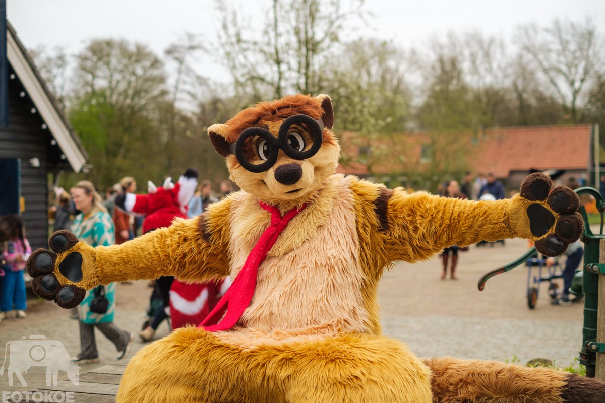 Why does this meerkat have such big arms? Hugs of course. Featuring @ThaboMeerkat #FursuitFriday