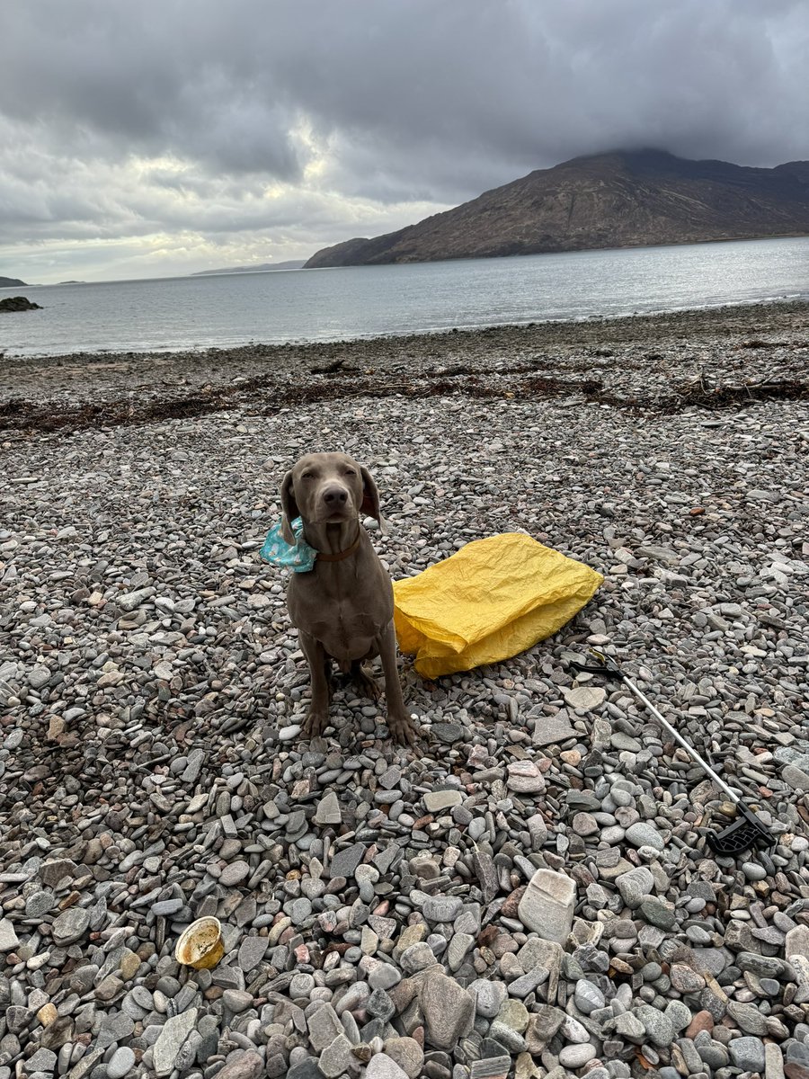 Yesterday beach clean west highlands