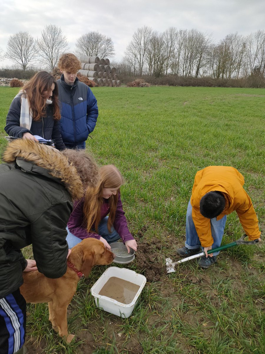 #FieldTrips provide our students with the chance to develop their learning outside the classroom. Our Env. Systems and Societies #students recently visited @burwashmanor and got to learn about organic #farming - a module in their course. Interested? impingtoninternational.org.uk/subject-inform…