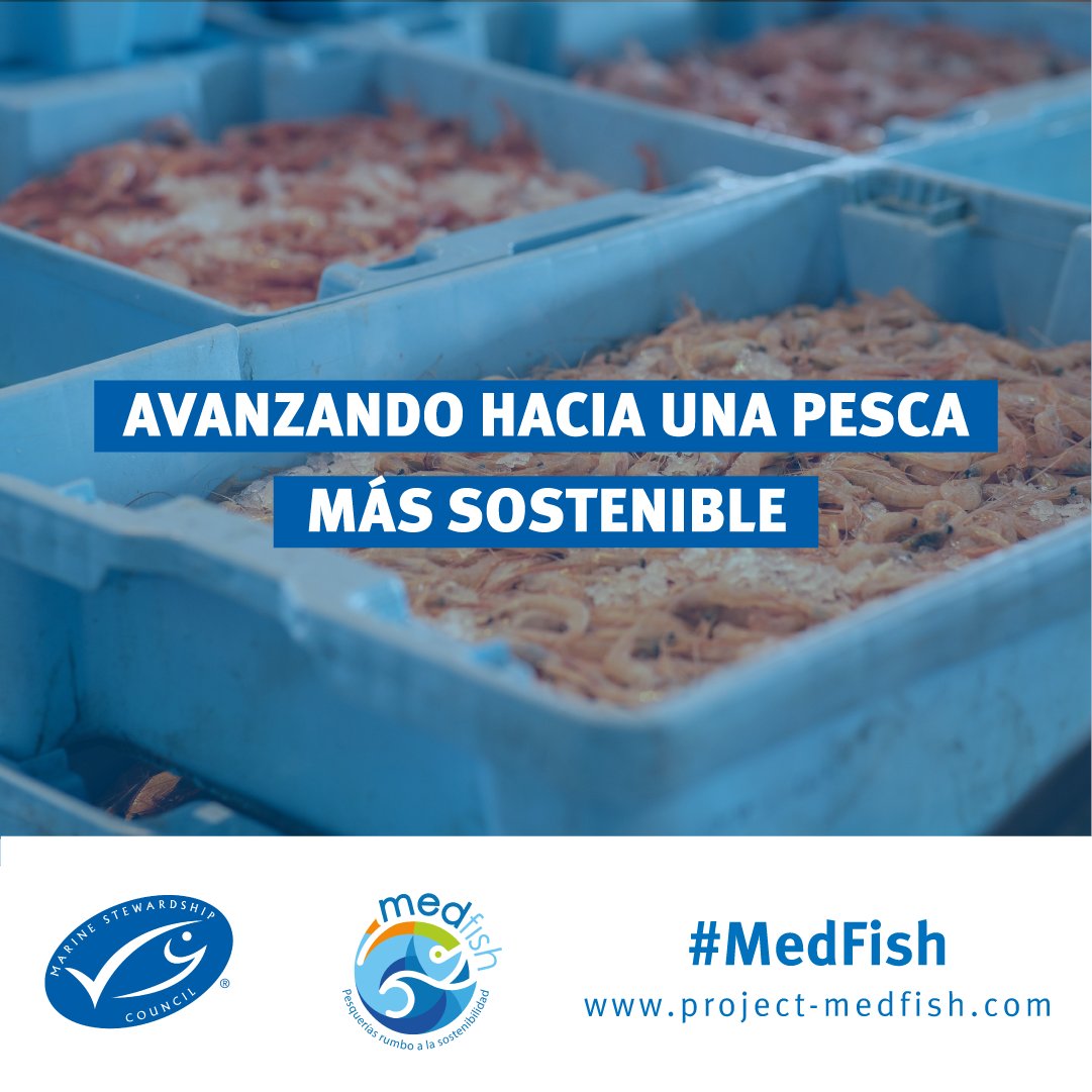 🎣 🎣 #MedFish: La creación de Organizaciones de Productores Pesqueros está permitiendo incrementar la estructura y capacidad técnica del sector, promoviendo así la implementación de mejoras en la pesca. Para saber más ⤵️
bit.ly/3TJzcVI
#PescaSostenible #Medfish4ever