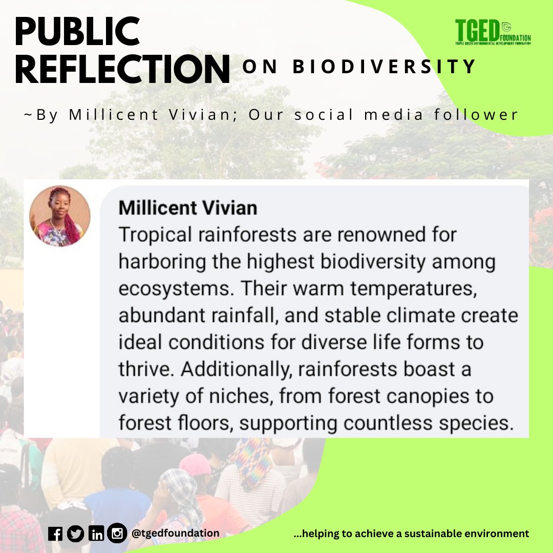 This week, our Public Reflection is on #Biodiversity 

See Vivian's view on our subject matter ☺️

#biodiversity #sustainableenvironment #protectourbiodiversity #SustainableLiving