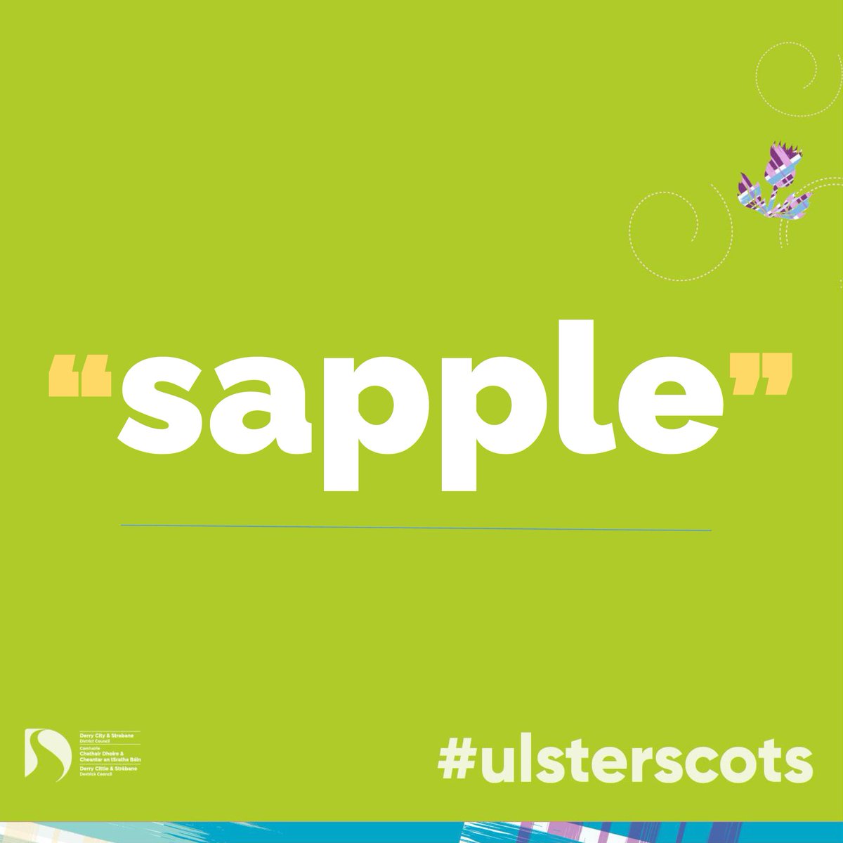 Sapple (verb): to soak or saturate with rain or water, 'sappled' - thoroughly soaked, 'sapplin' - waterlogged (Fenton). Also, soap-suds or lather. Also used to mean 'rinse' - e.g. 'gie thon cup a wee sapple' #UlsterScots