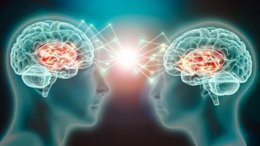 Cortex Mag (@magcortex) on Twitter photo "Être sur la même longueur d'onde". Grâce à l'#hyperscanning, on peut observer la #synchronisation des ondes #cérébrales d'individus différents. A la clef, l'émergence des #neurosciences collectives.
par Quentin Moreau de l'<a href="/ISC_MJ/">Institut des Sciences Cognitives - Marc Jeannerod</a>
cortex-mag.net/comment-la-sci… "Être sur la même longueur d'onde". Grâce à l'#hyperscanning, on peut observer la #synchronisation des ondes #cérébrales d'individus différents. A la clef, l'émergence des #neurosciences collectives.
par Quentin Moreau de l'<a href="/ISC_MJ/">Institut des Sciences Cognitives - Marc Jeannerod</a>
cortex-mag.net/comment-la-sci…