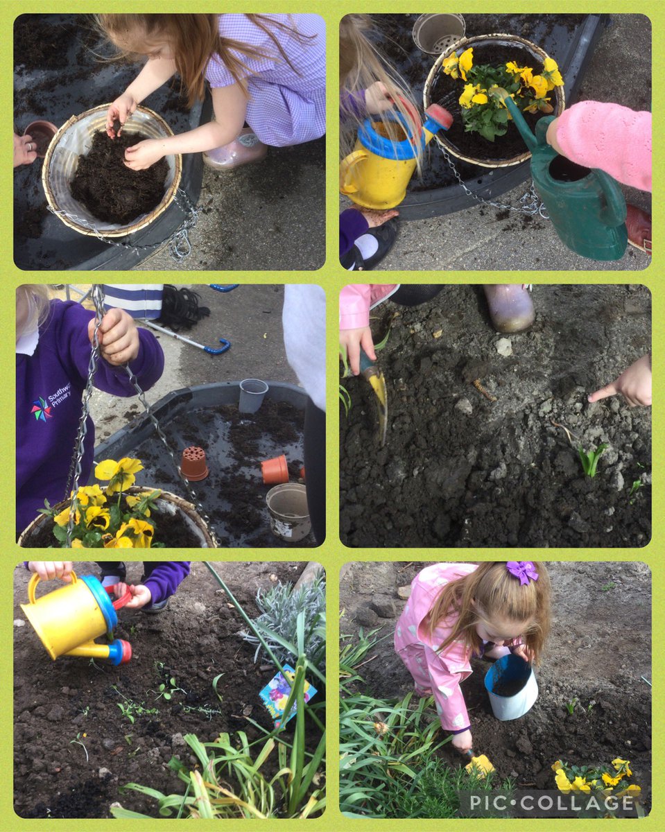 It’s been a busy week in the nursery garden! Planting, digging &amp; finding worms! #EYFS #GardeninginEarlyYears #EYFSoutsidelearning