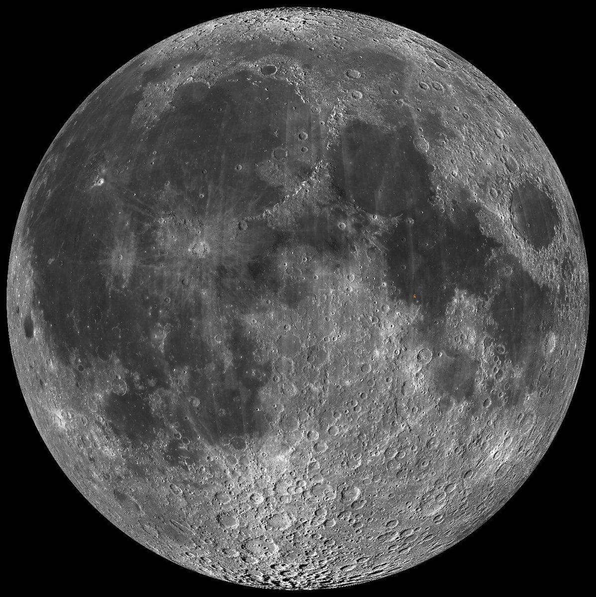 Leonidas 🧡 $DOG tweet media