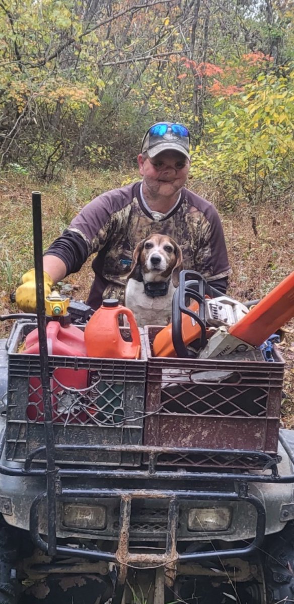 Love my beagle linsey lou she loves going exploring. #thereshegoes #huntabunny