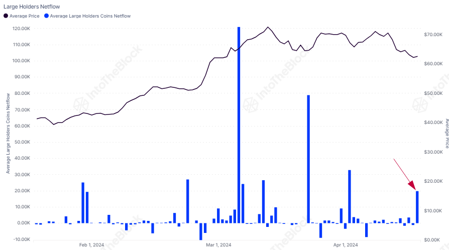 Netflow de gran tenedor de Bitcoin