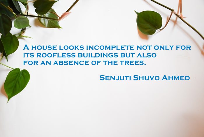 #housebuilding #trees #environment  #SustainableLiving