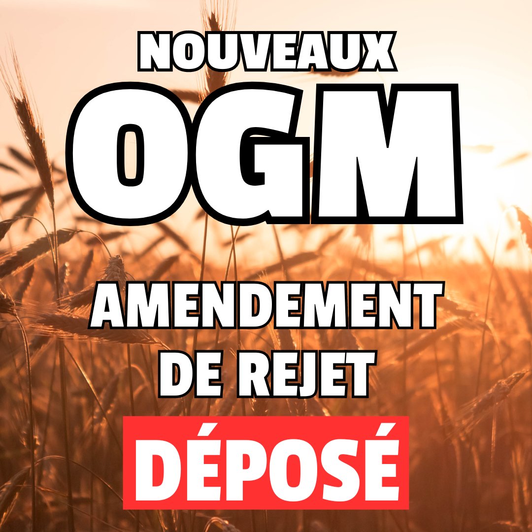 Le projet de règlement qui vise à déréguler les nouveaux OGM fera l'objet d'un vote au Parlement 🇪🇺 la semaine prochaine. ❌ Contre cette libéralisation dangereuse pour les agriculteurs bio, pour l'environnement et pour notre santé, nous avons déposé un amendement de rejet. #NGT