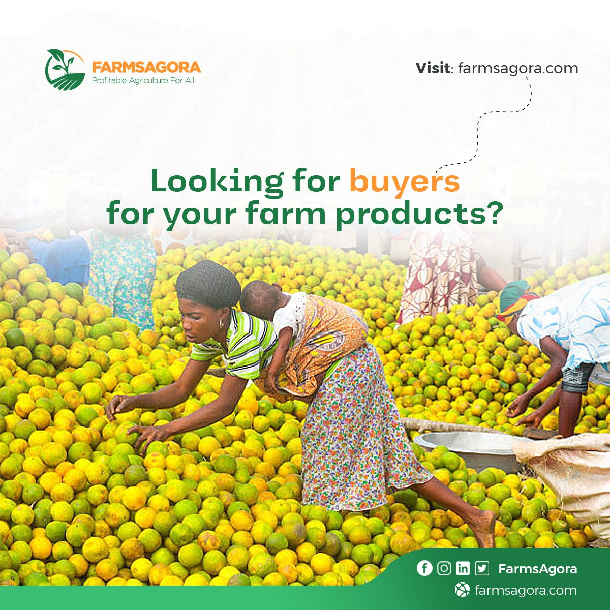Those sumptuous fruits in your barn 🍊🍐🍉 must locate buyers this weekend.

Let's link you to your customers now.
Register on our Platform today.

#SustainableAgriculture #TGIF #FutureFarming' #HarvestingHope #AgriculturalApp #WeekendHarvest #FarmingInnovation #agriculture #crop