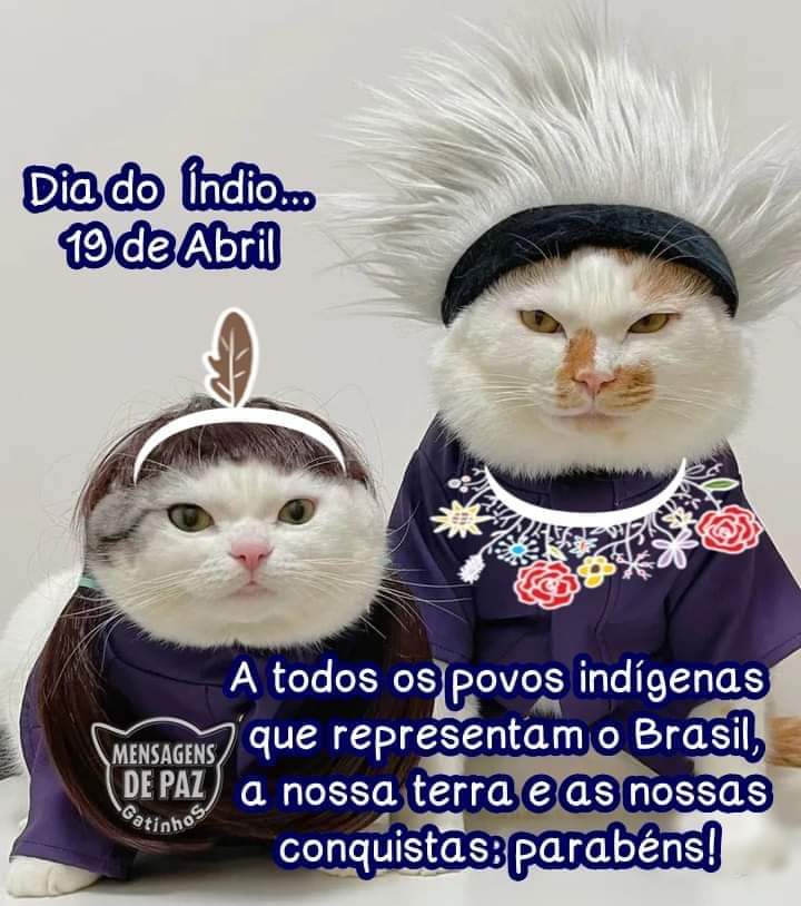 NegroGato_2's tweet photo. #DiadoIndio https://t.co/yKpooL3WcC