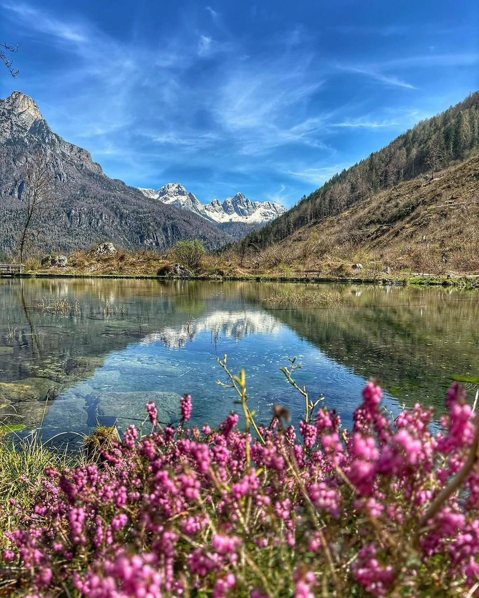 Nel cuore del Parco delle Dolomiti #UNESCO, un piccolo specchio d’acqua è fiorito e ti aspetta per un’escursione naturalistica. Il Laghetto delle Peschiere, nella Valle San Lucano, è un santuario della biodiversità 🌺 tinyurl.com/2zvesys9 #Belluno #VisitVeneto