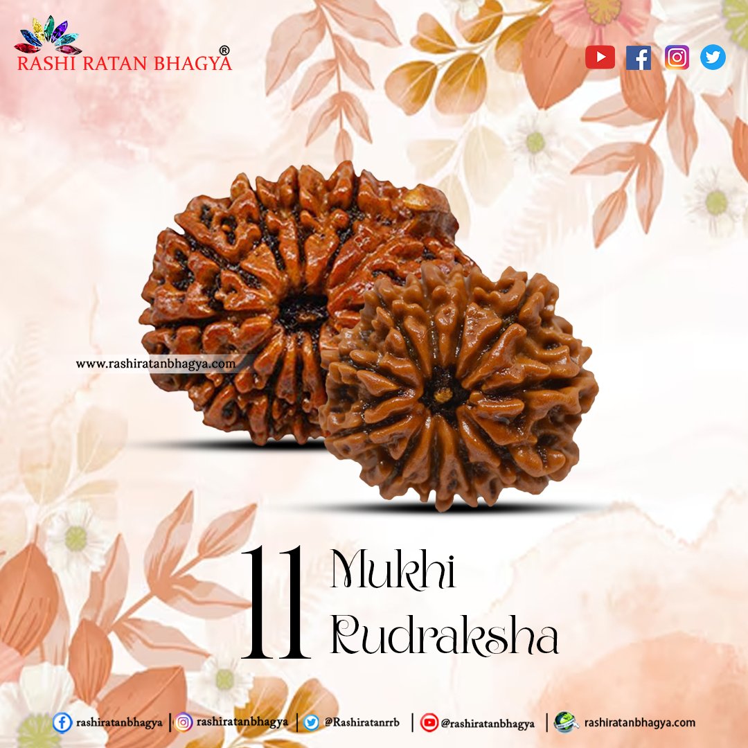 hritikrrb's tweet photo. Those interested can procure the Natural  11 Mukhi Rudraksha at competitive prices online through Rashi Ratan Bhagya.
🌏https://t.co/ZSxVygUfsg
📞 +91 9829069860
📩 info@rashiratanbhagya.com
#11mukhirudraksha #11mukhi #rudraksha #shiva #mahadev #bholenath #mahakal #shivay https://t.co/RI57ULgF3I