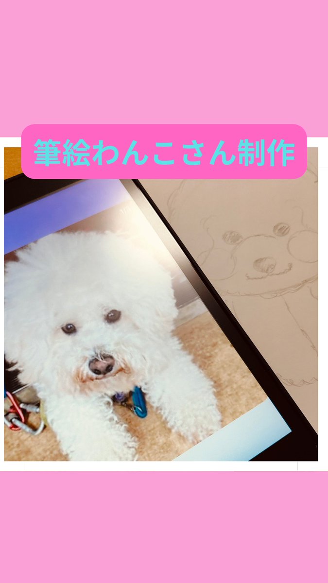 otomeko_bichon tweet picture