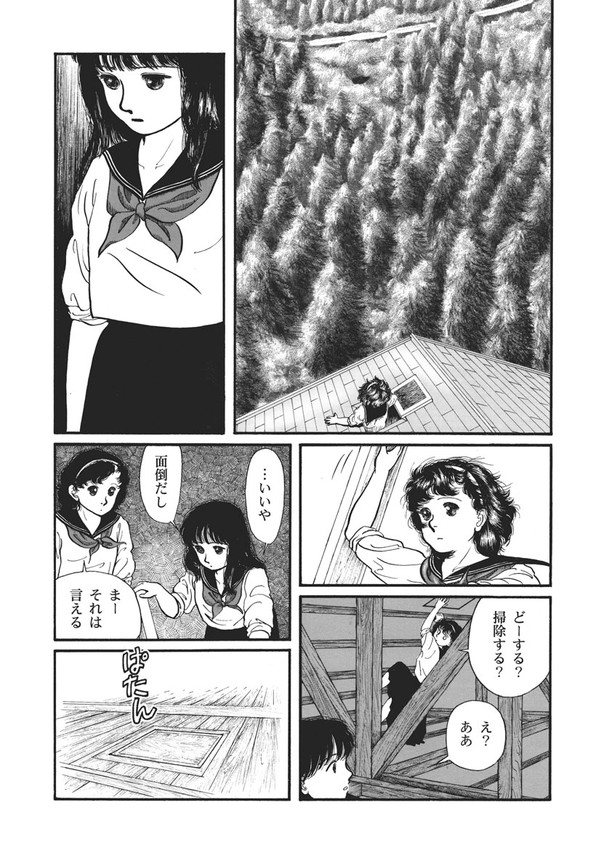 (5/5) 