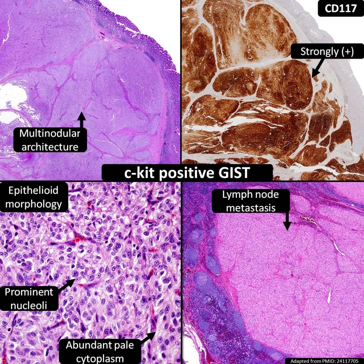 DrCycloPath tweet picture