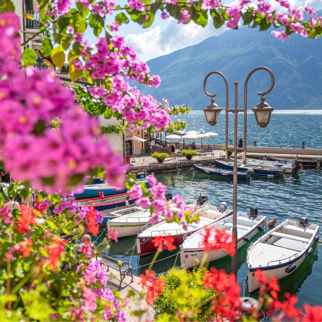 Sigma 24-70/2.8 Art.
Foto di <a href="/friacomino/">Francesco Riccardo Iacomino</a> "Sigma 24-70mm F2.8 EMount Art cattura l’essenza del risveglio della Natura."
Obiettivo presente nel cashback di Primavera €200 (valore compreso IVA):sigma-italia.it/cashback/

<a href="/foto_sigma/">SIGMA Italia</a>
#fotografia #fotografie
<a href="/SigmaFoto/">SigmaFoto Benelux</a>
<a href="/SigmaPhotoSpain/">SIGMA Spain</a>