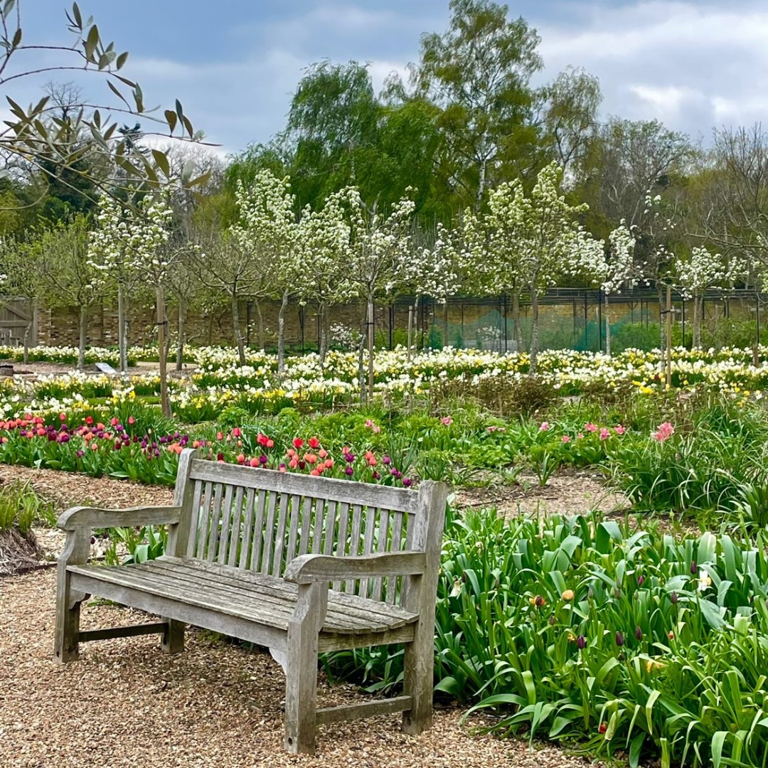 Doesn't that look like a nice spot to watch the world go by?🍃✨ And you can... for free! Visit our Kitchen Garden this weekend and see the latest that spring has to offer. We're open Thursday-Sunday, between 10.30am-3.30pm.