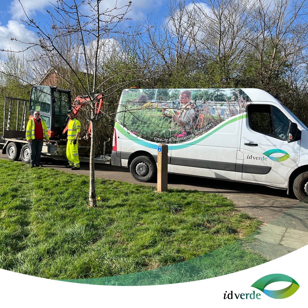 The Trowbridge community #TreePlanting initiative has completed its first phase last month. In collaboration with Cllr Mel Jacobs & the Trowbridge Town Council, the season saw the planting of 271 trees across 23 locations. More on our tree services here: idverde.co.uk/services/maint…