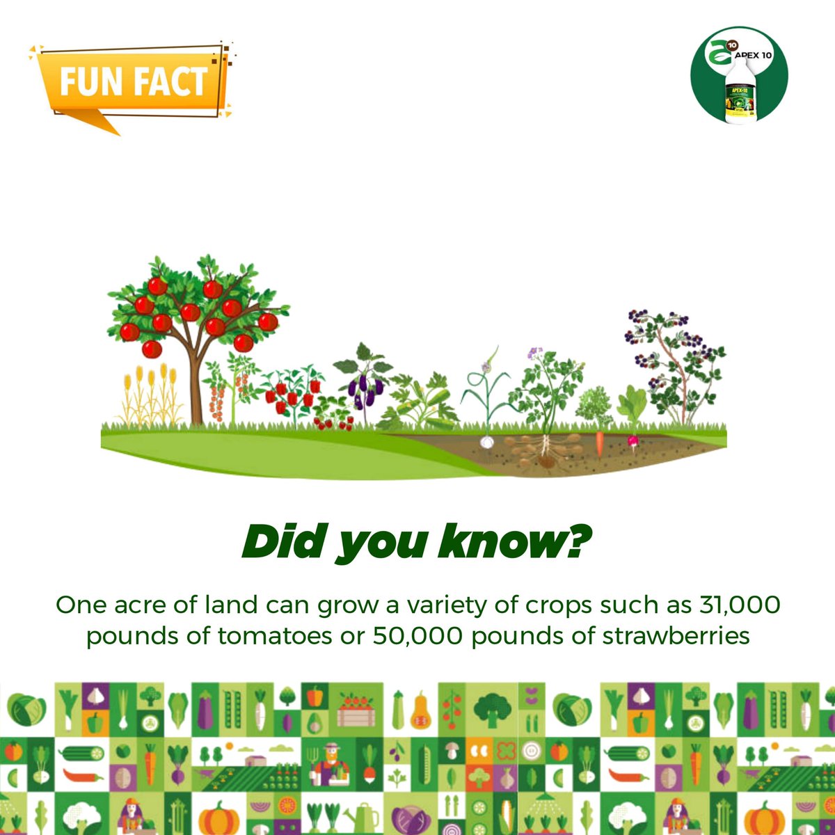 Did you know that just one acre can produce 15,000 pounds of corn, 31,000 pounds of tomatoes or 50,000 pounds of strawberries? 

Now you know what to do with the land you inherited from your forefathers 🌝😂
#agriculture #agribusiness #DidYouKnow #TGIF #TodayisFriday
