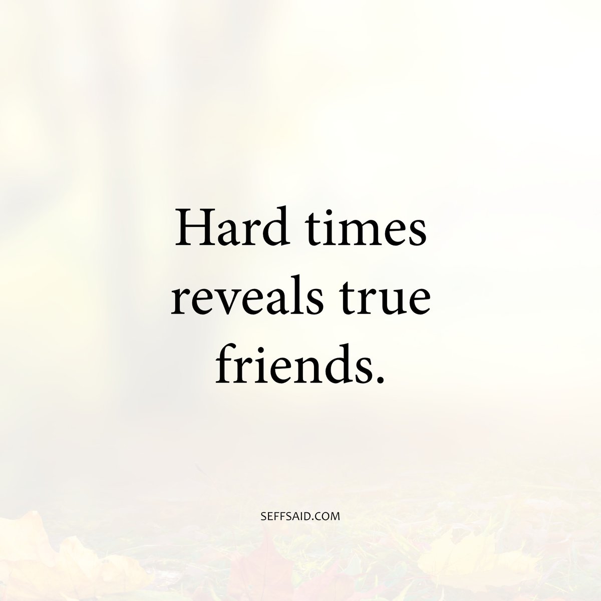 SeffSaid's tweet photo. Definitely https://t.co/DMsr7vL94F