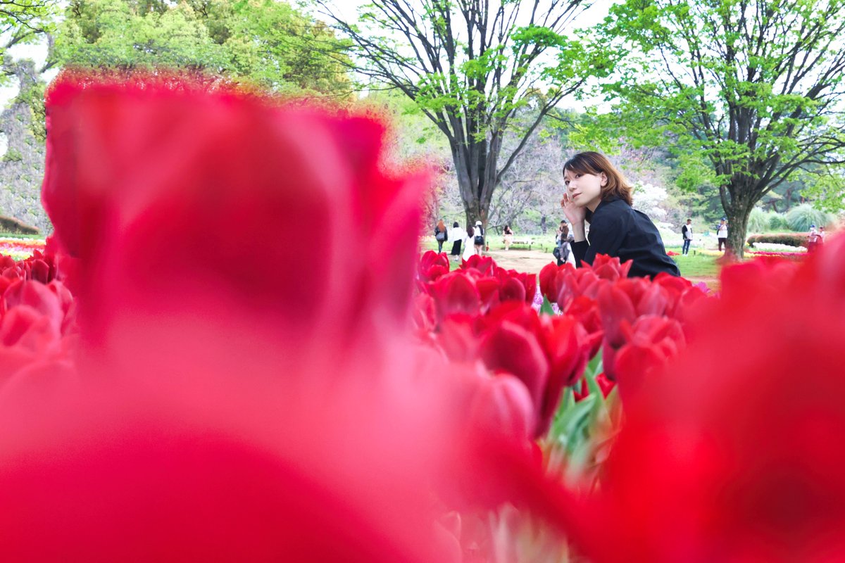 チューリップ🌷ポートレート model:りあさん　@chan_ri_a ＃昭和記念公園