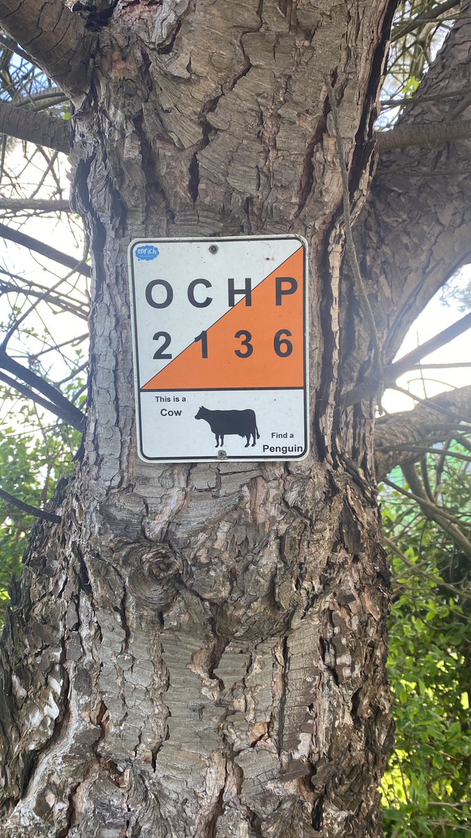 Weather must be getting better if I’m braving an outdoor break duty! Nearly time to dig out the <a href="/enrichedu/">Enrich Education</a> orienteering maps