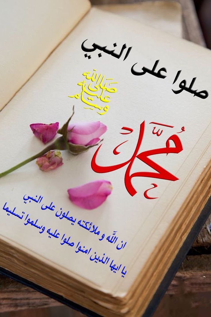 " طُوبَىٰ للغُرباء في زمن الفتن " . tweet media