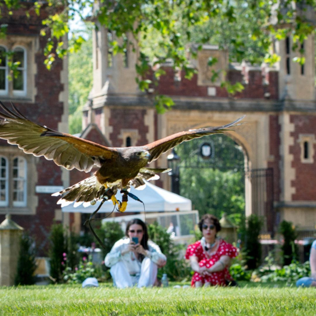 🐦 We can't wait for @LDNGardensTrust Open Gardens Weekend! #LOG24 Alongside thrilling falconry, explore our gardens on 8 June with a guided tour led by our Head Gardener, or wander around our historic estate at your own pace. Find out more: ow.ly/XjeP50RijoY