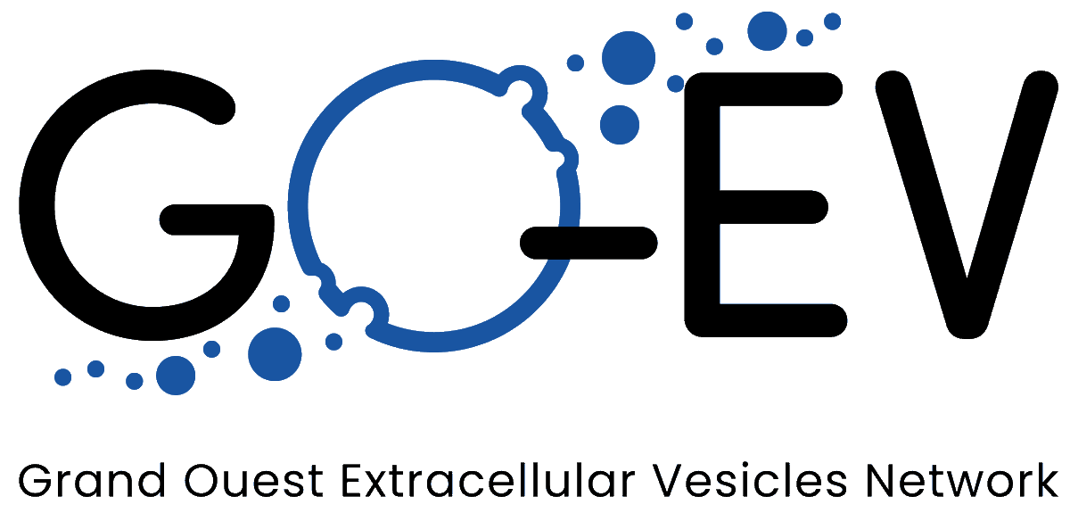 LabSoap's tweet photo. Look at this beauty 😊
our new logo for GO-EV 
@Biogenouest @regionbretagne @paysdelaloire @InsermGrdOuest @CNRS_dr17
#extracellularvesicle #research #grandouest
https://t.co/92xWBvPwsG https://t.co/Zmur1bF1JM