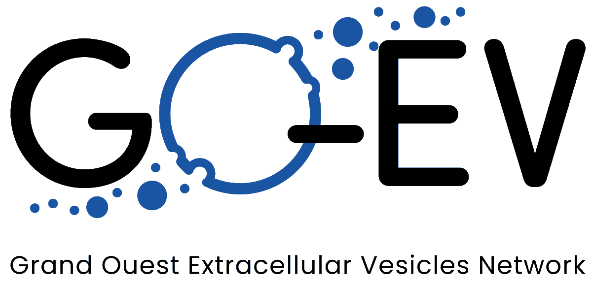 Look at this beauty 😊
our new logo for GO-EV 
@Biogenouest @regionbretagne @paysdelaloire @InsermGrdOuest @CNRS_dr17
#extracellularvesicle #research #grandouest
biogenouest.org/go-ev/