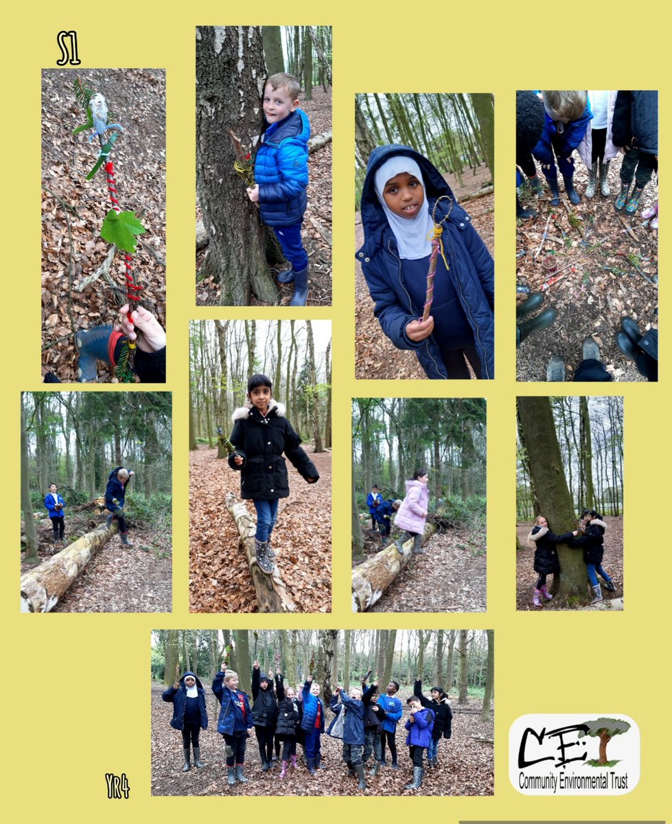 🌳 @OAShortHeath At Forest School, Yr4 were sad to see so many fallen trees. We spoke about the important job that dead wood has creating ecosystems and habitats and a natural part of a tree's lifecycle.@BOSFonline @Naturally @Team4Nature @WTBBC @SuttonParkNNR