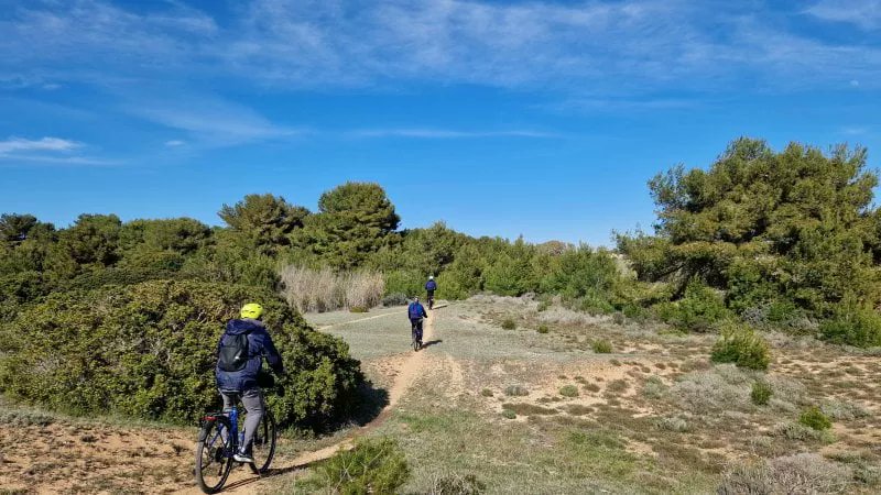 Sta arrivando un'ondata di turisti che rischia di sommergerci. Ma un altro turismo è possibile. E il Salento mostra la strada.
huffingtonpost.it/dossier/terra/…