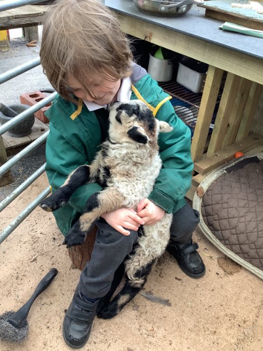Bringing our farming community into the heart of the school. Just a boy with his lamb🥰 #MeavyFamily #Dartmoor #farminglife #flourishingcommunities #ruralschool