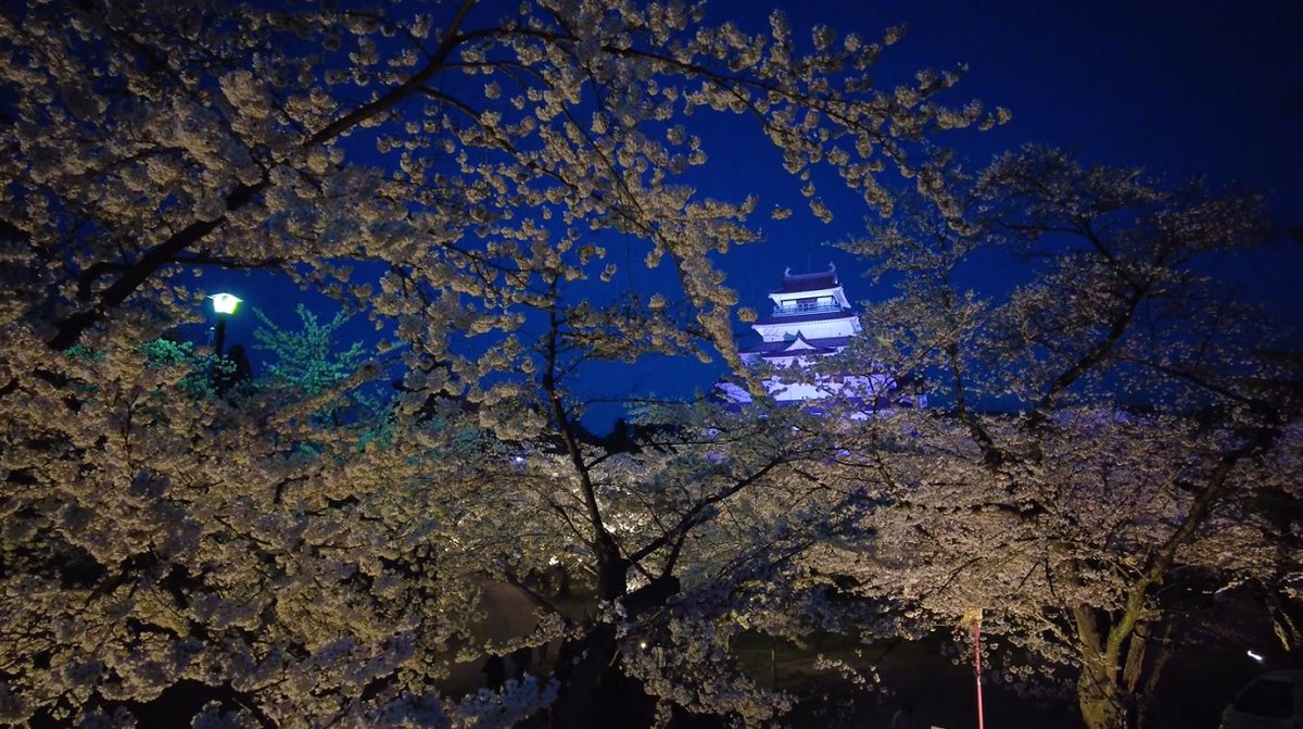 ☆鶴ヶ城と桜のライトアップ✨
こんばんわ🌛
福島・会津若松にある鶴ヶ城公園にて
鶴ヶ城と桜のライトアップをご覧の皆様に
素敵な夜を🦝

#鶴ヶ城
#夜桜