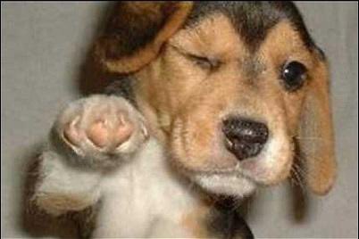 みんな、今日も一日頑張ったな