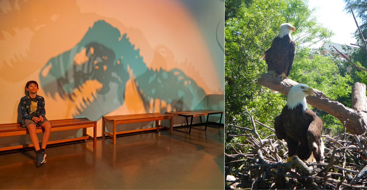 MatevzDular's tweet image. What a trip that was! 

#SolarEclipse2024 @SpaceX @NASA_Johnson @SpaceCenterHou @LEXCV16 @TXStateAquarium @houstonzoo