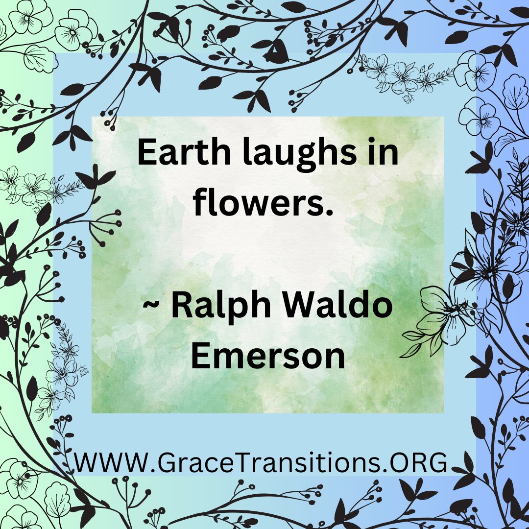 A reminder that amidst life's challenges and complexities, there is beauty and happiness to be found in the natural world if we take the time to notice and appreciate it.
 
 #GeorgiaDeathDoula #GraceTransitions #EndofLifeDoula #RememberMe #ForgetMeNot #CaringForLovedOnes