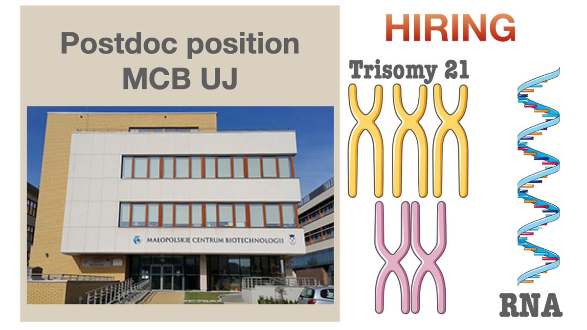 Job 🚨! I am seeking a talented postdoc to join our team @MCB_UJ in #Krakow. You will study regulation of RNA metabolism in aneuploidy. All info at ➡️ euraxess.ec.europa.eu/jobs/226023 Please share 🙏