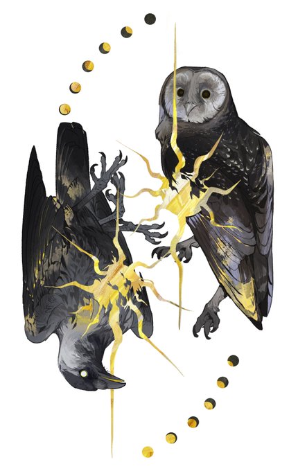 「beak」 illustration images(Popular｜RT&Fav:50)