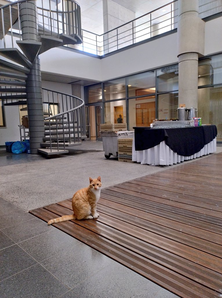esil_sedi's tweet photo. Our special guest is not impressed with the fact that the #ESILRF24 panels are running late and that the lunch break is not on yet. Someone's hungry. 😂🐱 https://t.co/aj3bgB9x8z